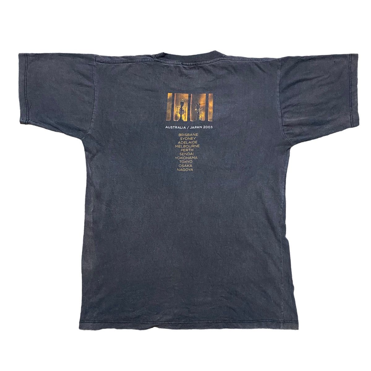 Band Tees Vintage Pearl Jam 'Riot Act' Tour Australia Japan 2003 Size US L / EU 52-54 / 3 - 2 Thumbnail