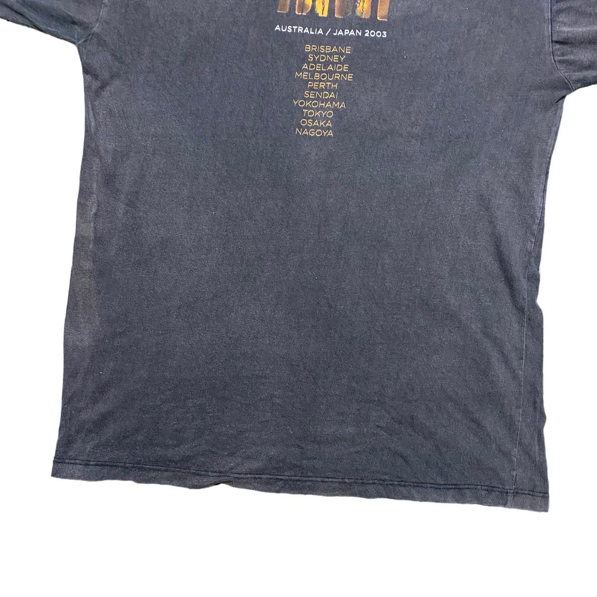 Band Tees Vintage Pearl Jam 'Riot Act' Tour Australia Japan 2003 Size US L / EU 52-54 / 3 - 11 Thumbnail